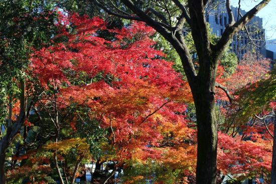 Hibiya-Park